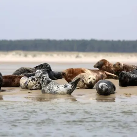 La Cabine En Baie De Somme Semesterbostad Cayeux-sur-Mer