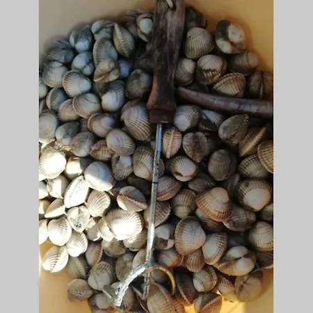 La Cabine En Baie De Somme * Cayeux-sur-Mer